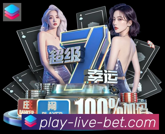 未来规划